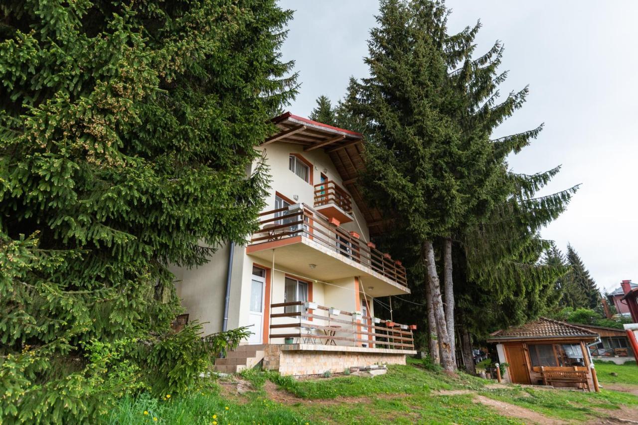 Orlino Holiday Park Sŭrnitsa Exteriör bild