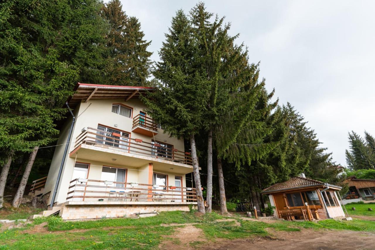 Orlino Holiday Park Sŭrnitsa Exteriör bild