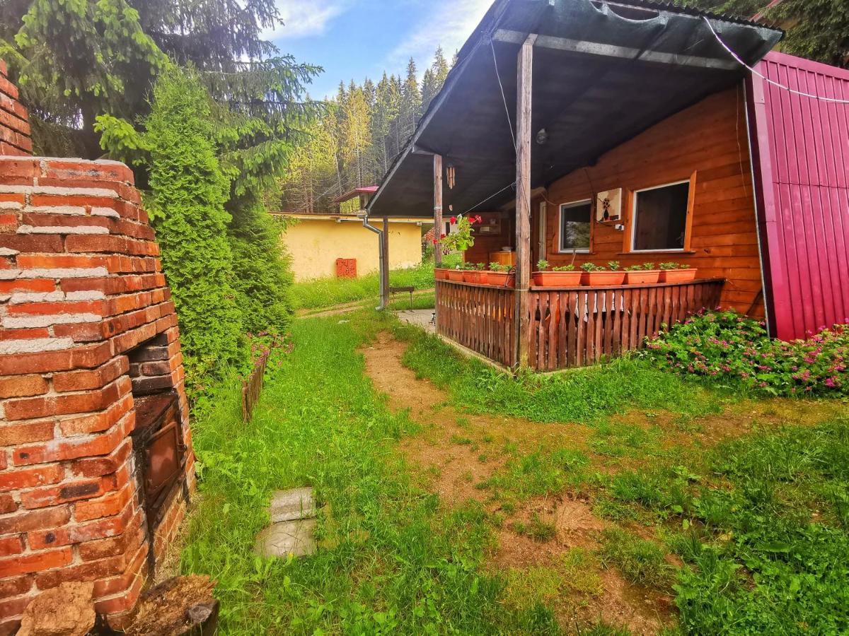 Orlino Holiday Park Sŭrnitsa Exteriör bild