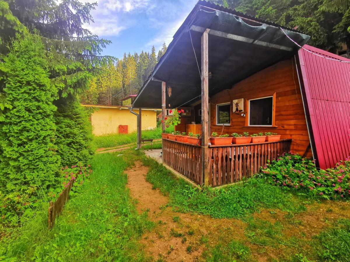 Orlino Holiday Park Sŭrnitsa Exteriör bild