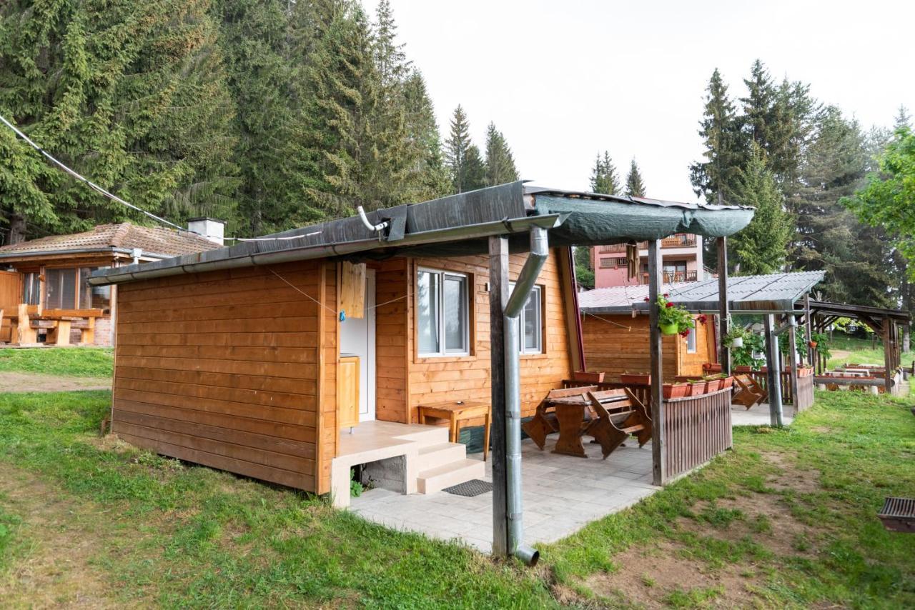 Orlino Holiday Park Sŭrnitsa Exteriör bild