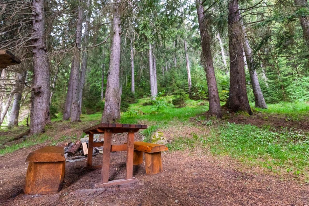 Orlino Holiday Park Sŭrnitsa Exteriör bild