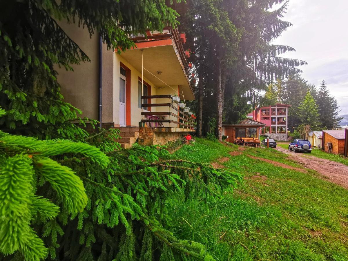 Orlino Holiday Park Sŭrnitsa Exteriör bild