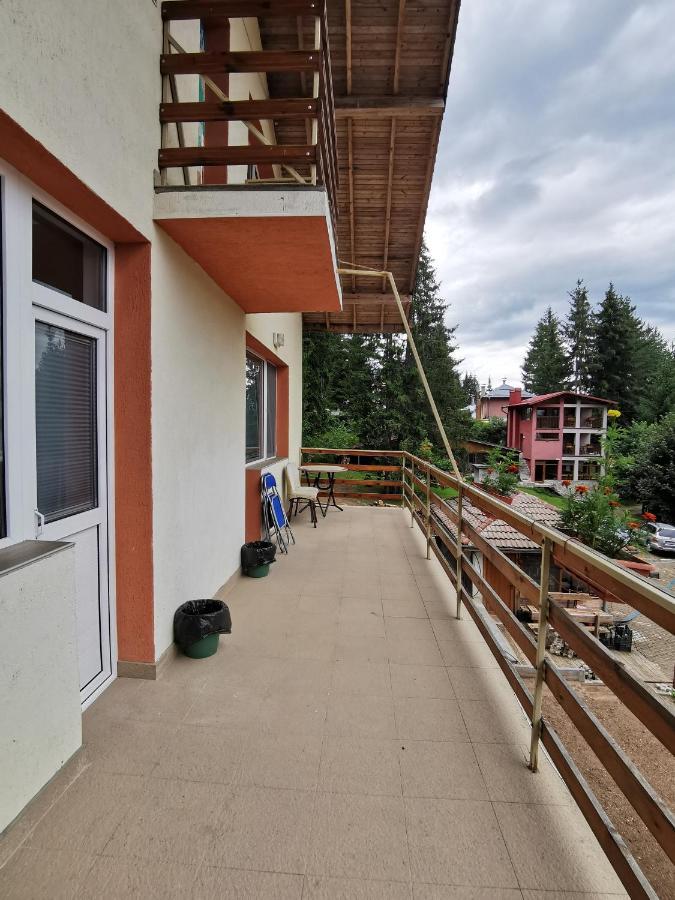 Orlino Holiday Park Sŭrnitsa Exteriör bild