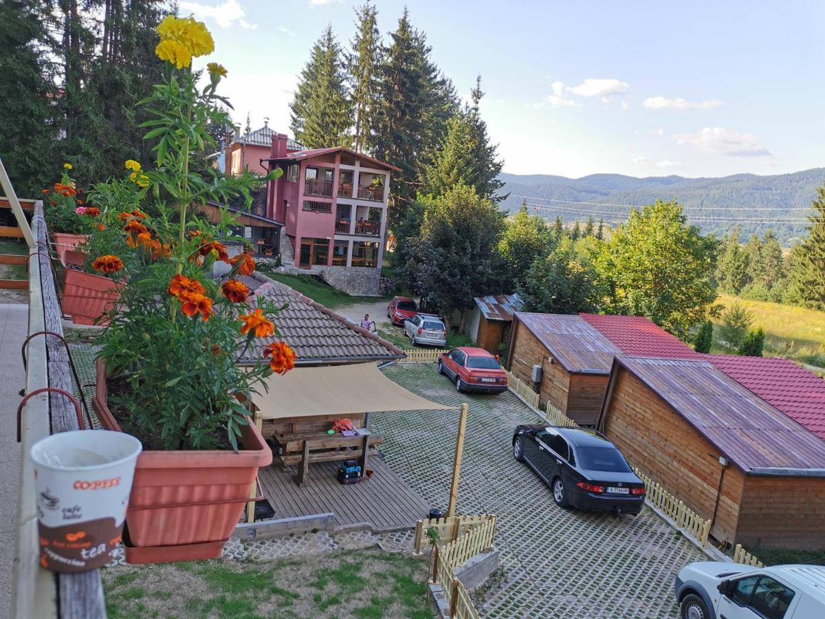 Orlino Holiday Park Sŭrnitsa Exteriör bild
